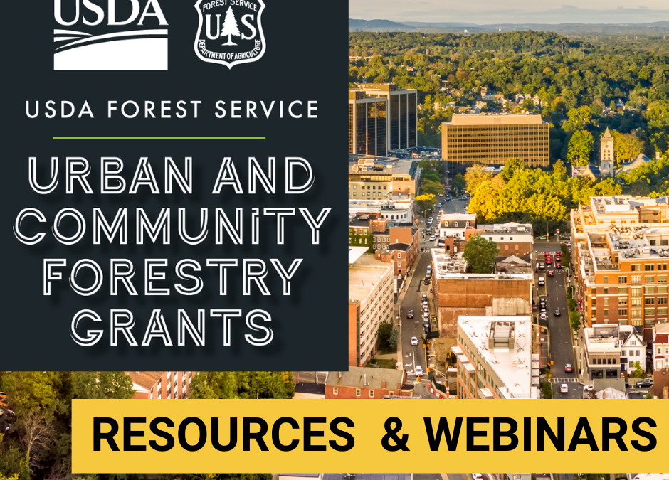 Inflation Reduction Act Urban and Community Forestry Program Funding Opportunity: Resources and Webinars